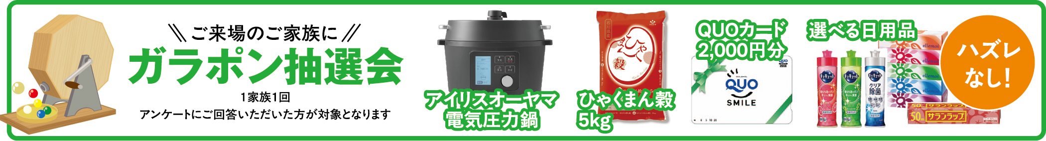 ガラポン抽選会